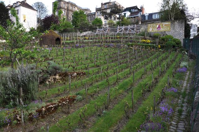 min 2013 05 02 montmartre 165